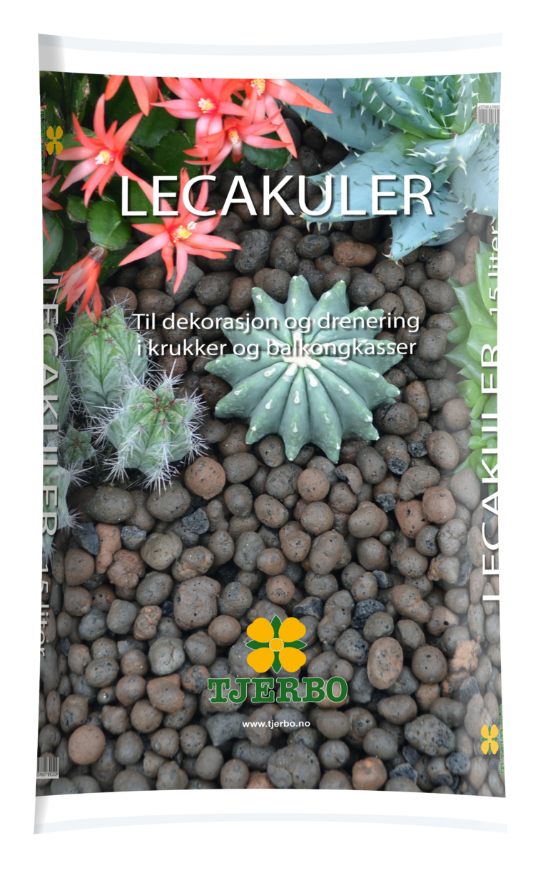 tjerbo lecakuler