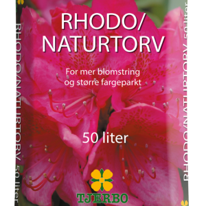 tjerbo rhododendron