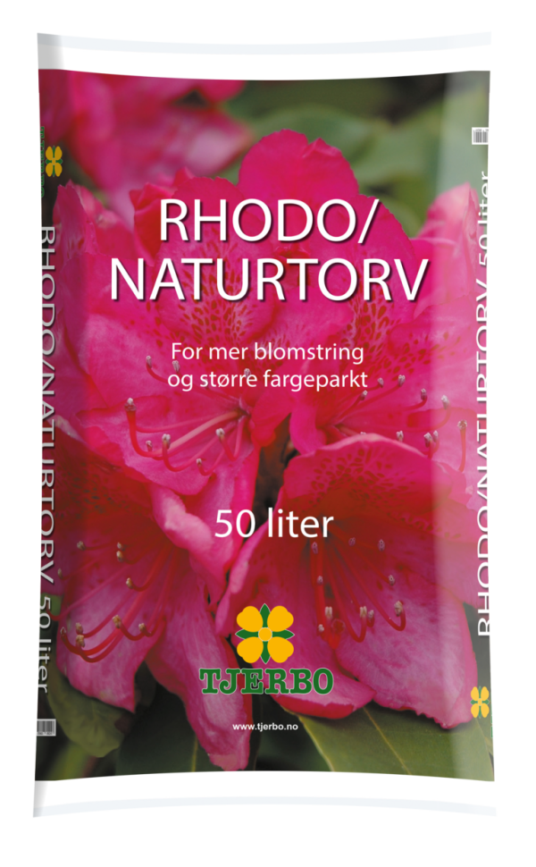 tjerbo rhododendron
