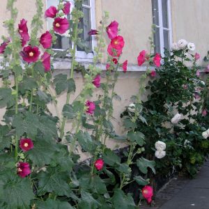 s189398959813483828 p38 i1 w1900.jpeg